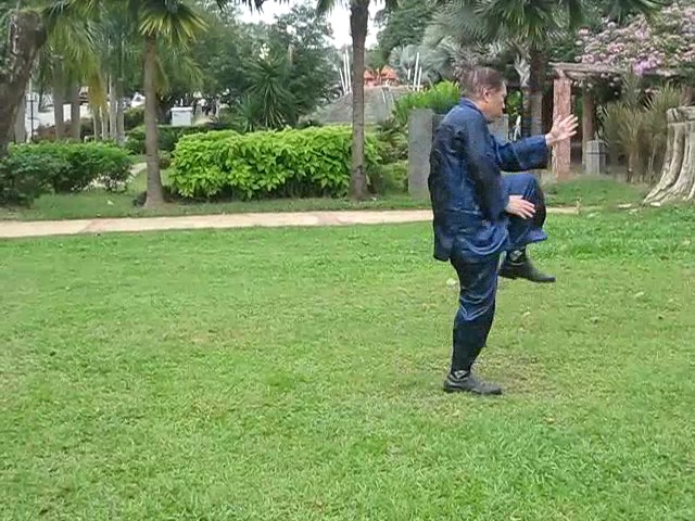 Shaolin 36 Leg Techniques